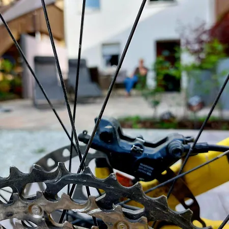 Ruff Un Runner Apartment *